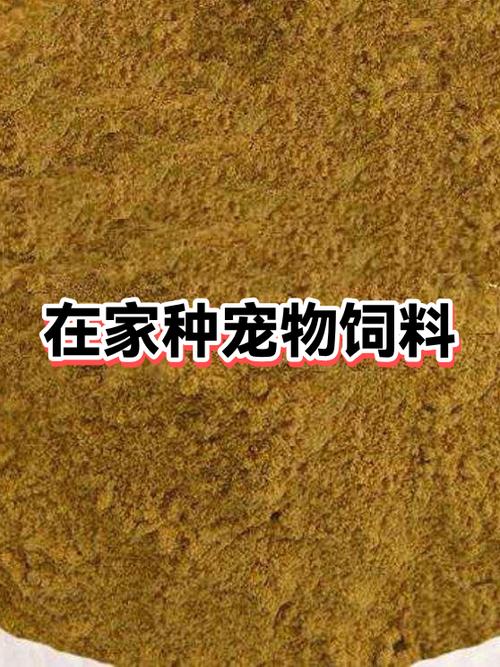 香草纪元仓鼠怎么驯服