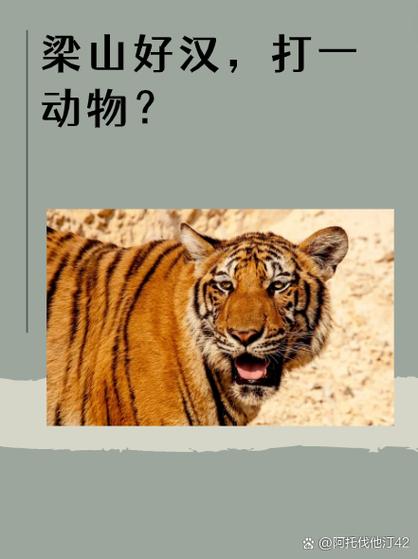 七步之才打一准确动物