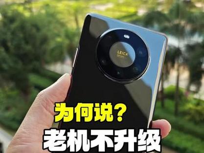 mate40pro被强制降级了吗