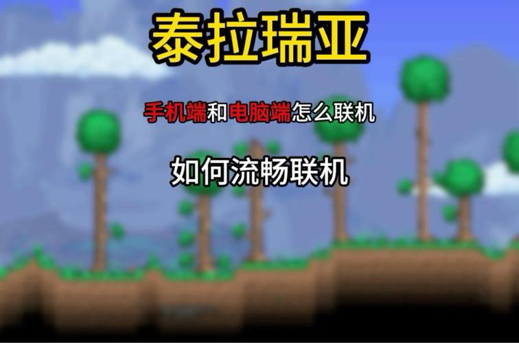 泰拉瑞亚手机版和电脑版区别