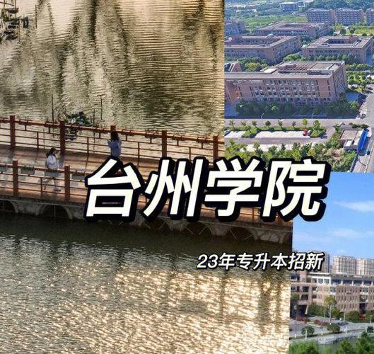 台州专升本培训机构