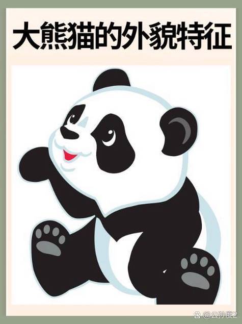 熊猫养成记有多少分红熊