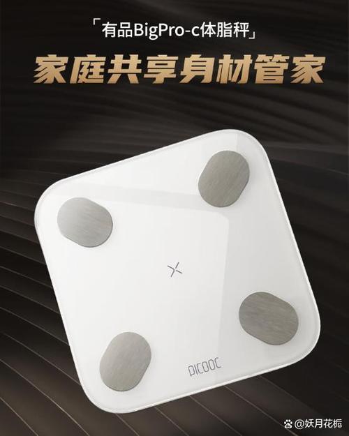 picooc体脂秤背后按钮