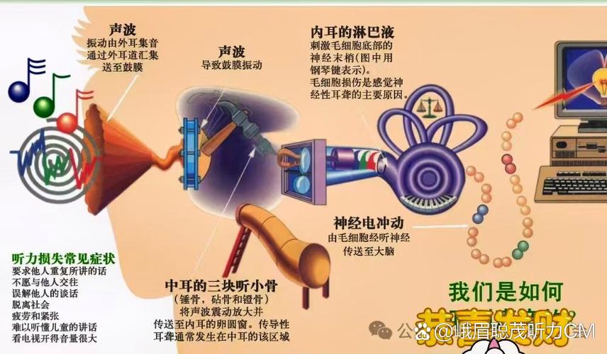 声音的传播途径