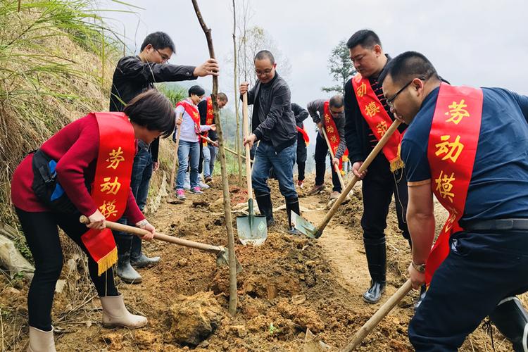 植树造林感动中国人物
