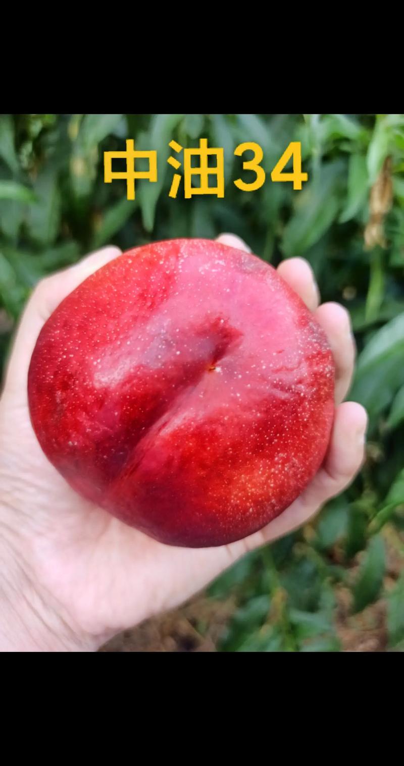 中油智行实名怎么注销