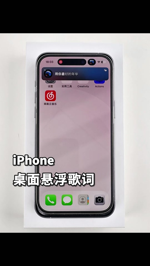 苹果自带音乐软件歌词怎么显示