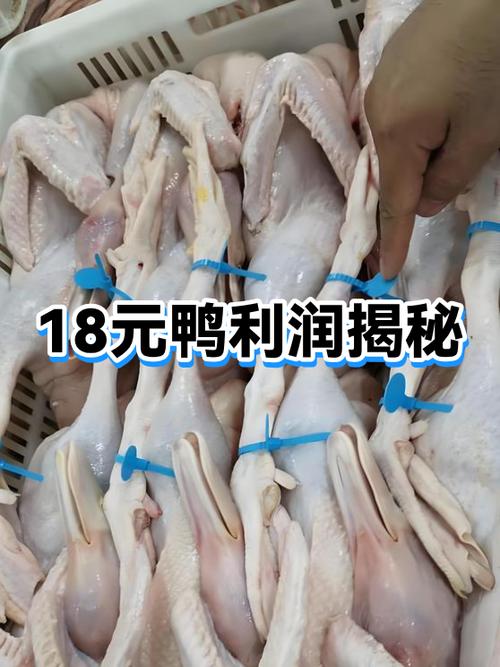 1万只鸭40天的利润