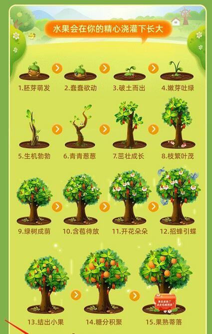 支付宝芭芭农场种水果几个阶段