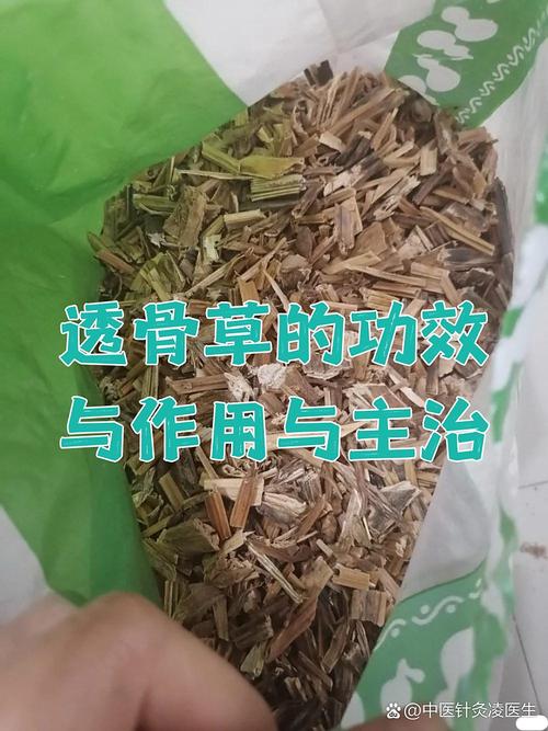 透骨膏的正确使用方法