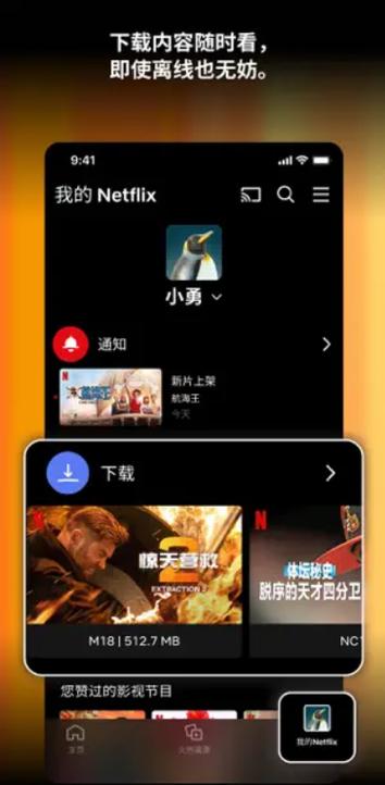 奈飞影视app官网下载