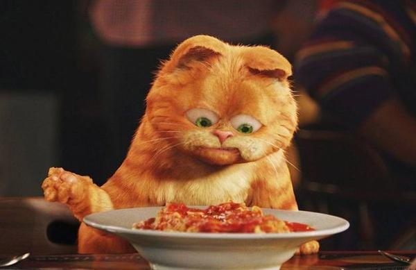 加菲猫爱吃猪肉卷