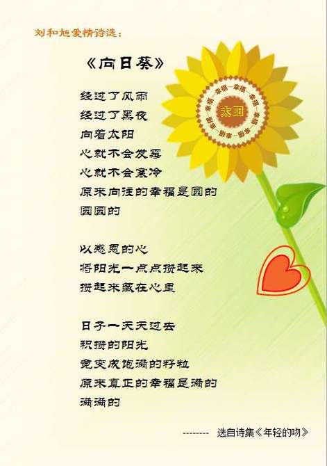 说明文《向日葵》