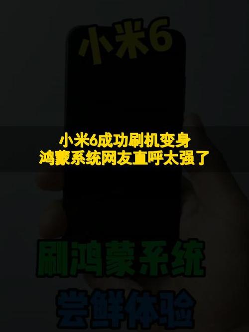 vivo手机能刷鸿蒙系统吗