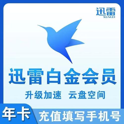 免费的迅雷会员有吗