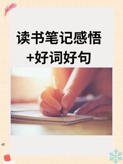 再见不勇敢的我读书笔记