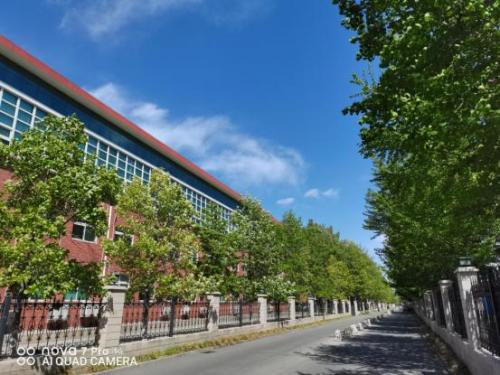 华为nova7pro后摄像头拍照都是绿色是什