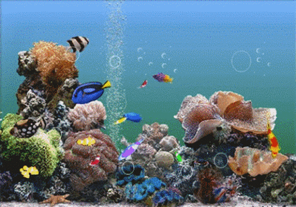 电视水族馆动态屏保