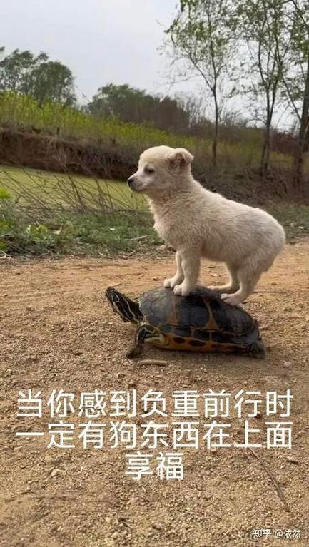 你负重前行