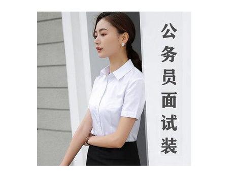权柄下的女公务员们小说