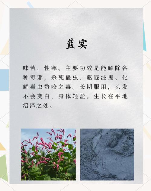 蓝佛子的原型