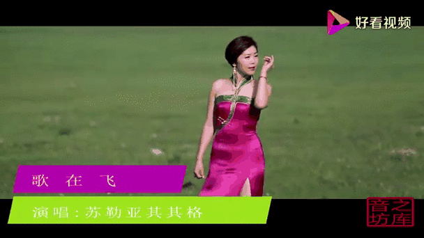 我想听飞这首歌