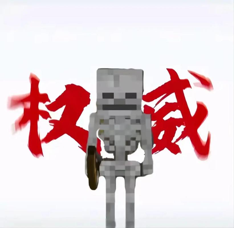 我的世界第一只骷髅的故事
