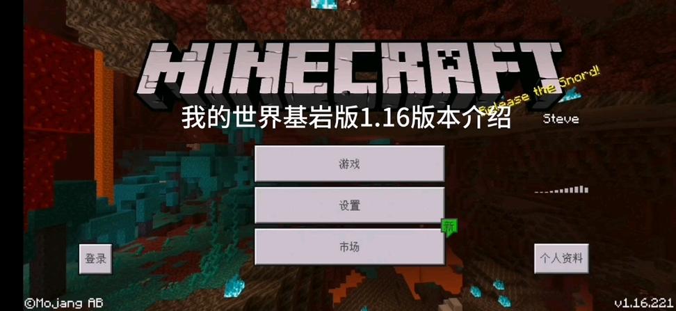 我的世界国际服基岩版1.17