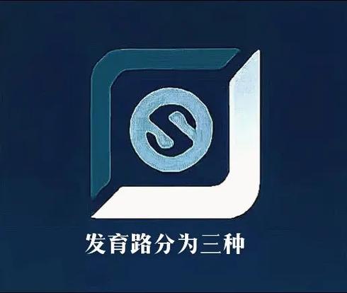 发育路主要负责什么