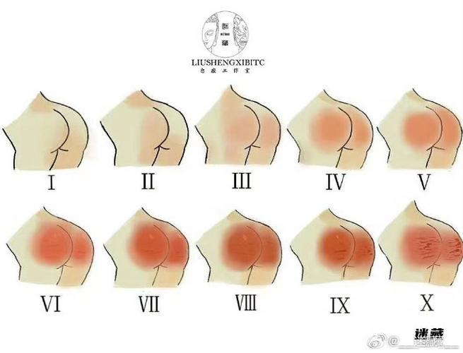 sp实践程度等级