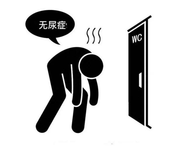 喝水没尿意,水都去哪里了