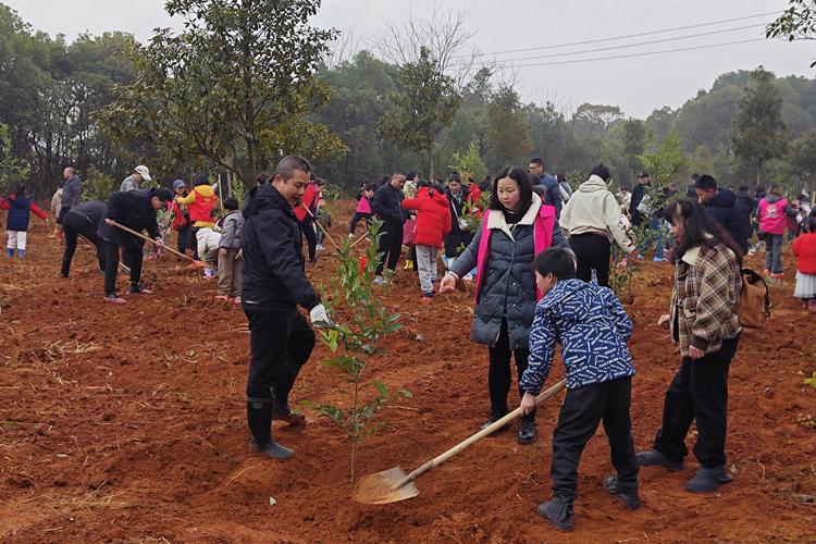 中央植树活动缩略图