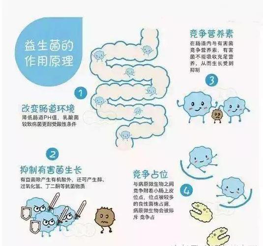 便秘益生菌推荐