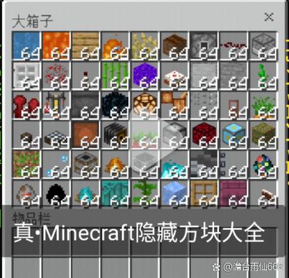 mc史上最罕见30种方块