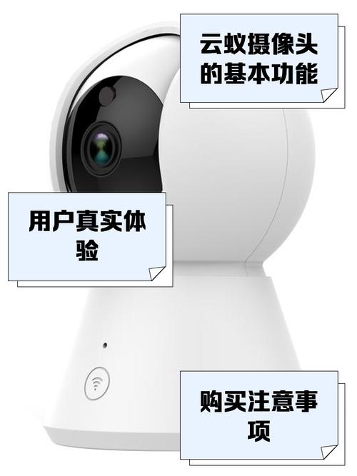 小蚁智能摄像机更换wifi后看回放不能