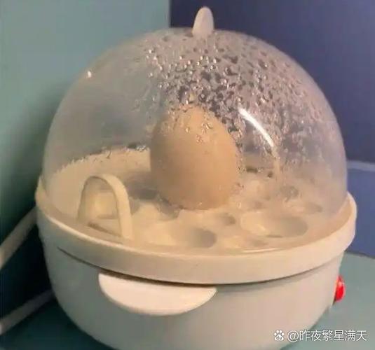 煮蛋器一般加多少水