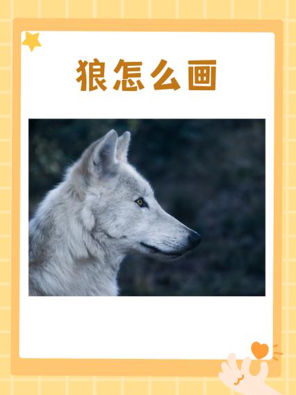 奇迹里面的狼怎么合