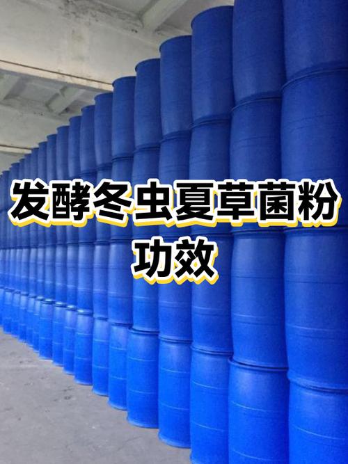 发酵冬虫夏草菌粉的作用