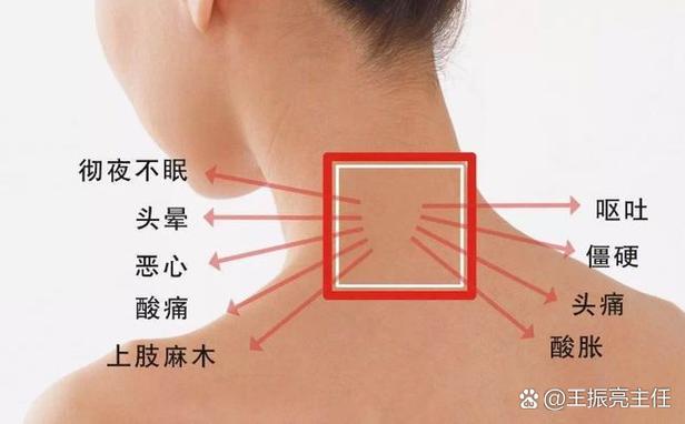 cilcil在哪儿下