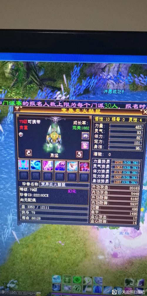 内功宝宝的搭配推荐