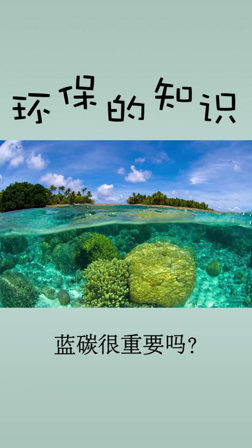 ECO2碳库怎么赚钱