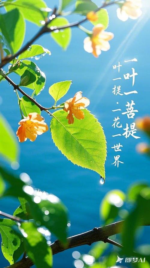 男人发一叶一菩提暗示什么