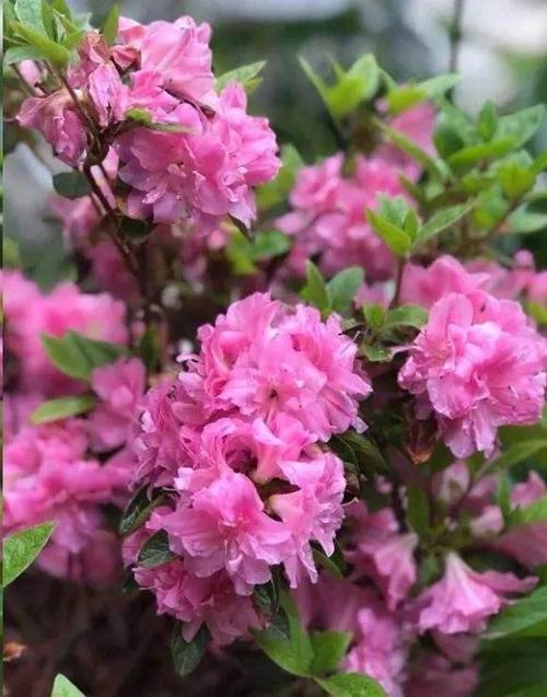 情侣花式网名
