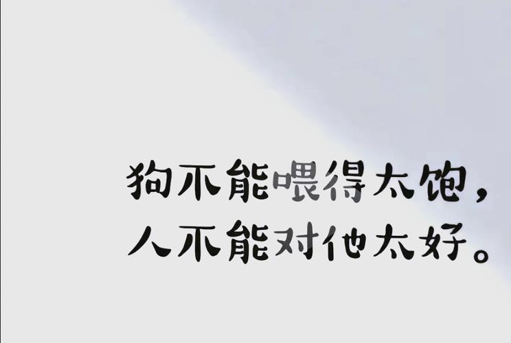 狗最治愈人的心情句子