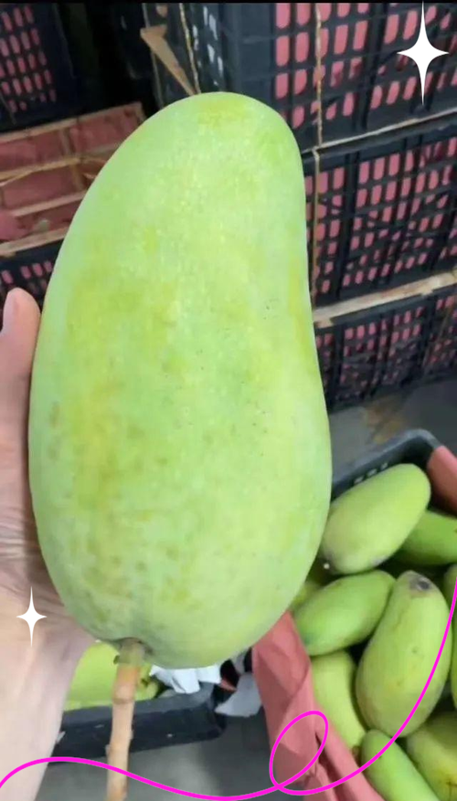 中国十大芒果排名