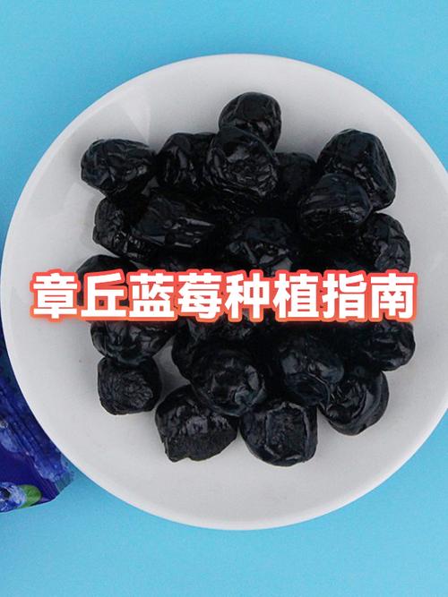 山东蓝莓为何要尽量少吃