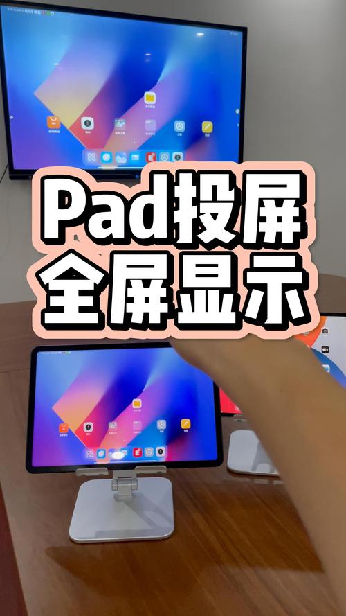ipad没有投屏功能