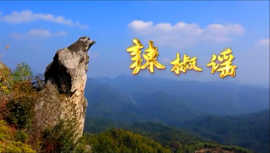 没辣椒毒是什么歌
