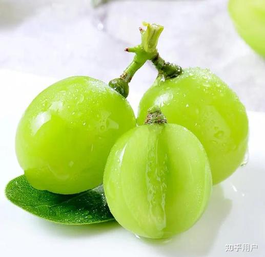 青葡萄很贵的那个叫什么名字