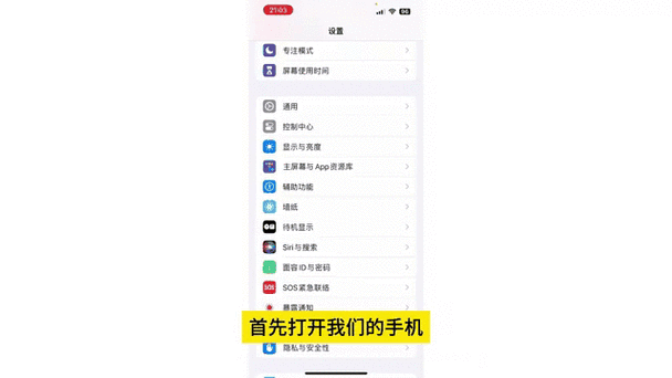 ipad的safari在哪里
